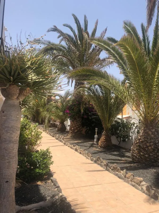 Apartamento SMILE Complex Amaya Fuerteventura Costa De Antigua